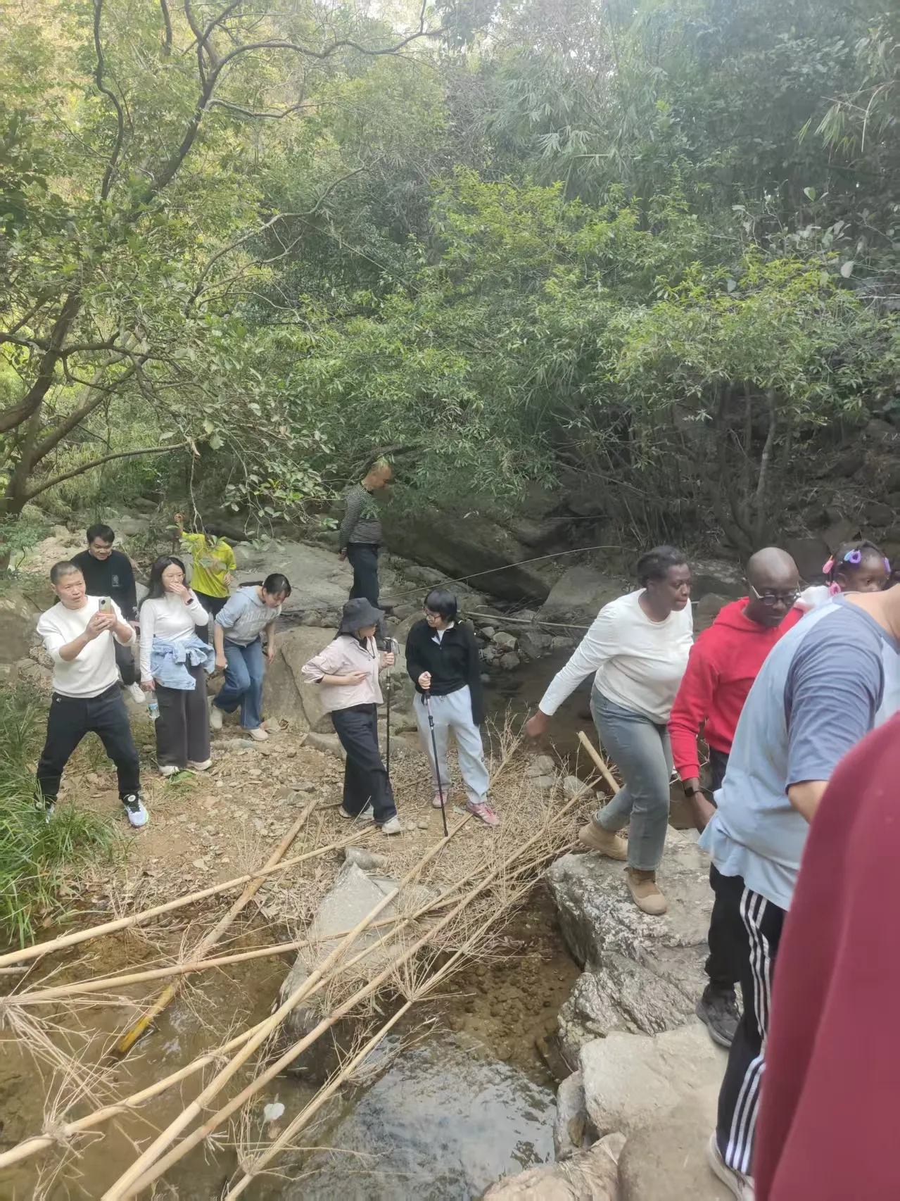 tea-picking experience3